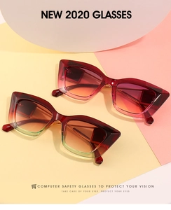 Detail of cat-eye sunglasses frames showing hinge construction and printed specifications