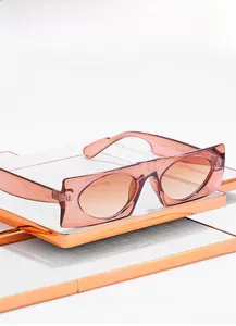 Détail de lunettes de soleil marron montrant le matériau transparent et la charnière