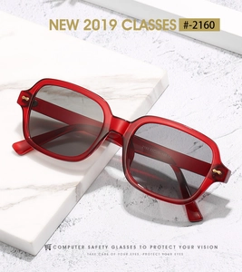 Detail view of square frame sunglasses with model 2160 specifications on inner temple