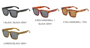 Classic square frame sunglasses with gold temple accents and four color variety pack