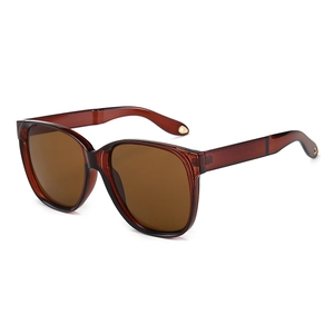 Moderne Oversize-Sonnenbrille mit braunem Rahmen und Metall-Details am Bügelende