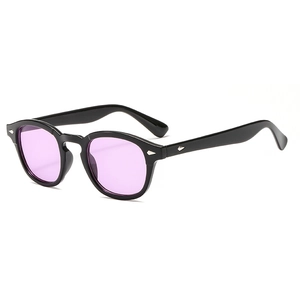Classic black Panto frame sunglasses with purple lenses and silver diamond rivets