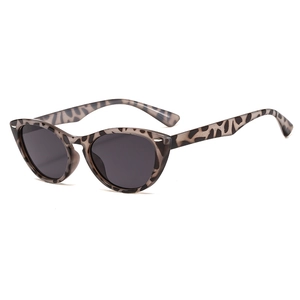 Lunettes de soleil rétro léopard à petite monture avec verres foncés et détails argentés
