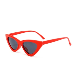 Vintage Cat Eye Sunglasses For Women Retro Triangle PC Frame UV400 Protection Fashion Eyewear