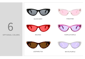 Collection of cat eye sunglasses in six stylish colors including leopard and translucent tones