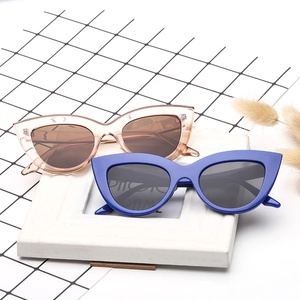 Modern cat eye sunglasses in transparent pink and deep blue frames with dark lenses