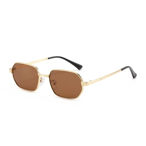 Retro Polygon Sunglasses Metal Frame PC Lenses UV400 Protection Fashion Outdoor Eyewear For Men And Women