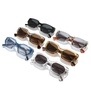 Retro geometric irregular sunglasses in six stylish colors with thick frames and chic patterns