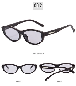 Cat eye sunglasses detail with purple lenses and silver metal temple decoration