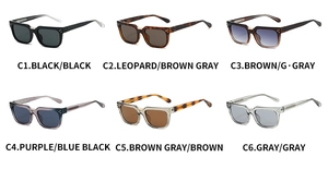Catalogue détaillé montrant six options de couleurs de lunettes de soleil polarisées