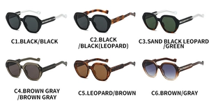Polygonal sunglasses collection in six assorted colors featuring unique temple design