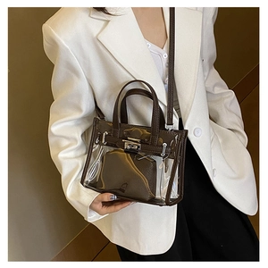 Detailed close-up of a transparent PVC handbag with brown leather trim and metal twist lock