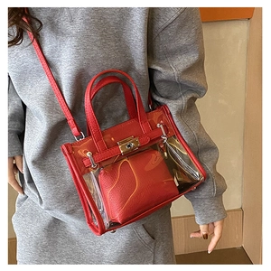 Detailed close-up of transparent Kelly style bag with red leather inner pouch and metal lock