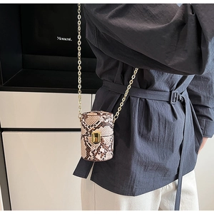 Détail du mini sac imprimé serpent avec chaîne dorée et boucle métallique de luxe