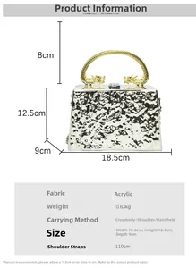 Detailed size chart for acrylic evening bag with gold dragon handles and silver body