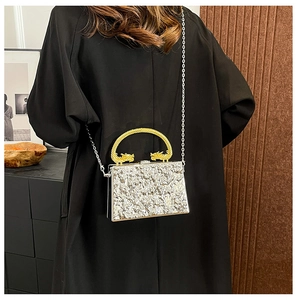 Detail of silver textured evening bag with dragon-shaped gold handles and chain strap