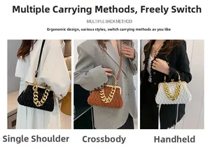 Detailed views of the pleated dumpling bag showing crossbody, shoulder, and handbag styles