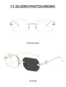 Detail of rimless octagonal sunglasses featuring golden snake-shaped metal temples and photochromic lenses