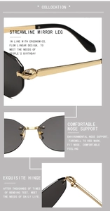 Detail of luxury serpent metal hinge and gold temple on rimless sunglasses