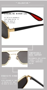 Détails de lunettes de soleil double pont avec branches ergonomiques et charnières