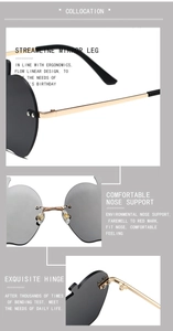 Détail de lunettes de soleil pomme montrant des plaquettes et des charnières métalliques