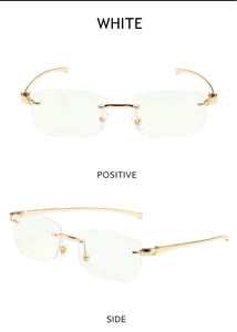 Detail of leopard head metal hinge on rimless sunglasses with gold temples and clear lenses