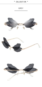Détails des verres en forme d'ailes de libellé grise et branches dorées de la lunette