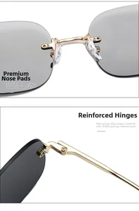 Détails de verres gris sans monture avec charnières dorées et plaquettes de nez souples