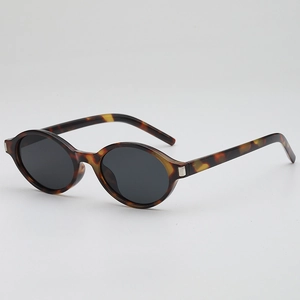 Retro Oval Sunglasses UV400 Protection PC Frame AC Lens Vintage Fashion Eyewear Men Women Metal Hinge Detail Ins Style