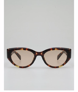 Detail of vintage tortoise cat eye sunglasses with brown tinted lenses and retro design
