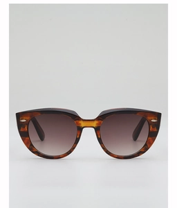 Detailed view of tortoiseshell frame sunglasses with gradient brown lenses and silver accents