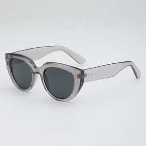 Fashion Cat Eye Sunglasses Vintage Large Frame UV400 Protection Trendy PC AC Lens For Women Men Travel