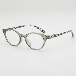 Retro round fashion glasses with translucent green frame and leopard print temples