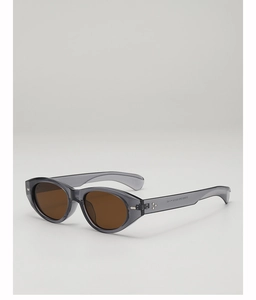 Detail view of transparent grey cat eye sunglasses with silver accents and brown lenses