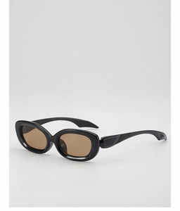 Detail of glossy black oval sunglasses frame with sleek brown lenses and metal hinge