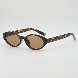 Retro Oval Sunglasses PC Frame AC Lens Metal Star Rivets UV400 Protection Vintage Fashion Outdoor Driving Y2K Style