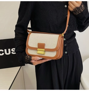 Detail of vintage canvas crossbody bag with contrast faux leather trim and gold buckle