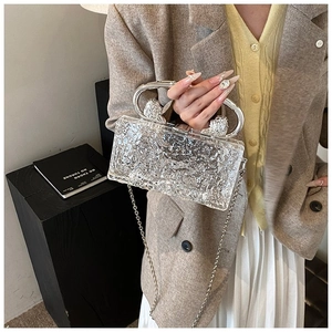 Detail of clear acrylic evening bag with silver lion head handle and metal chain