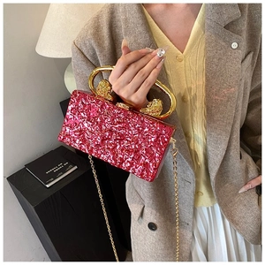 Red textured acrylic box bag detail featuring golden lion handle and chain strap