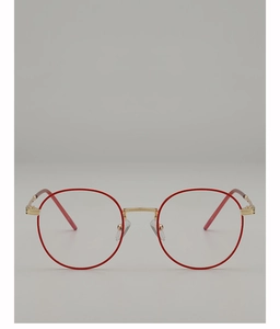 Detailed close-up of retro round glasses with red frames and golden metal hinges