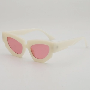 Irregular Cat Eye Sunglasses Geometric PC Frame AC Lens UV400 Protection Trendy Hip Hop Streetwear For Men Women