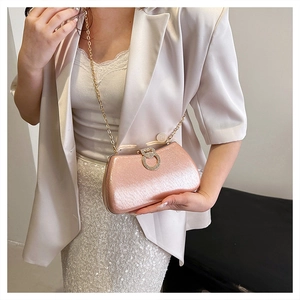 Detailed close-up of champagne gold evening bag with rhinestone buckle and fine glitter texture