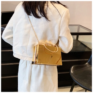 Detailed view of a gold rectangular box bag with mirror finish and metal handle