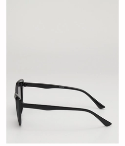 Detail view of black cat-eye sunglasses hinges and temple showing model number CA2202