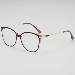 Retro Cat Eye Anti Blue Light Optical Glasses Frame Metal Temple Fashion Large Frame Plain Glasses For Women Daily Eyewear