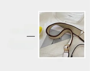 Detail magnification of wide woven canvas shoulder strap with gold metal buckle