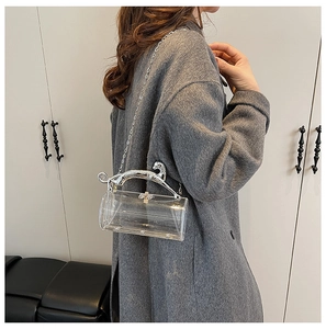 Detail of acrylic handbag featuring silver leopard handle and metal chain strap