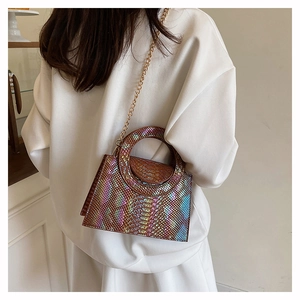 Détail du motif serpent coloré et de la bandoulière chaîne dorée sur le petit sac