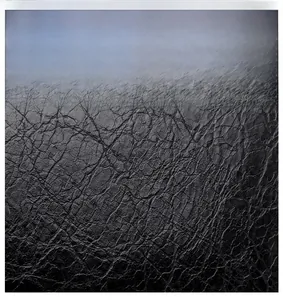 Close-up of black oil wax leather showing fine cracked texture and deep oily luster