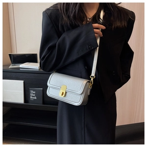Detail of silver grey pebble leather bag with gold rectangular twist lock and metal strap